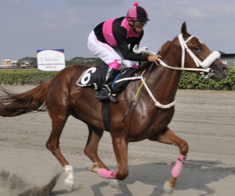 Caballos Colombianos Ganadores de la Polla de Potrancas y la Polla de Potrillos