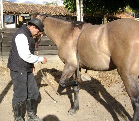 Doma Racional Equina, conferencia en Agroexpo