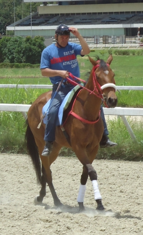 Entrenamiento  Caballos en el Hip�dromo La Rinconada 