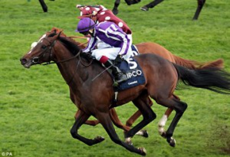 Ganador de las 2000 Guineas CAMELOT